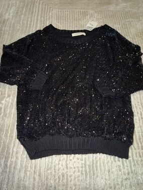 Zara Black Sequin Crewneck Sweater